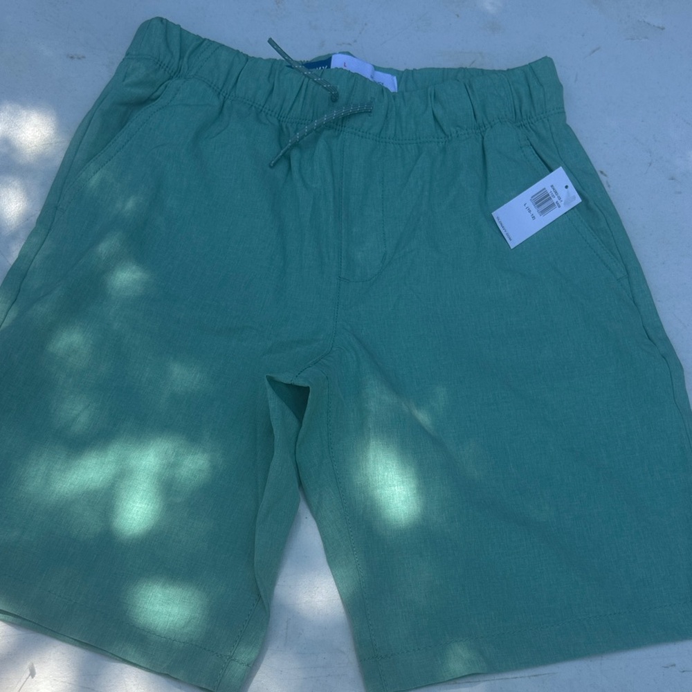 Old Navy Men's Teal Flat Front Shorts